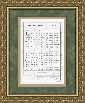 Тамильский алфавит (Индия, Цейлон, Малайзия), антикварная гравюра от Дени Дидро, 1784 г.