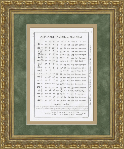Тамильский алфавит (Индия, Цейлон, Малайзия), антикварная гравюра от Дени Дидро, 1784 г.