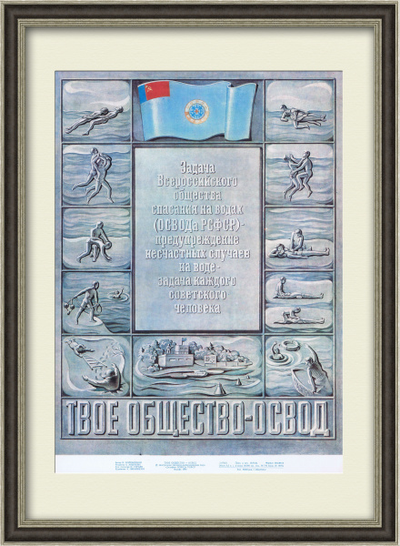 Общество спасания на водах: предупреждение несчастных случаев