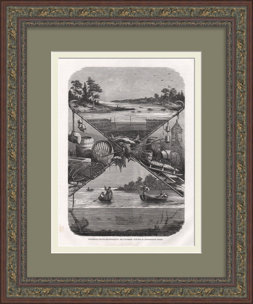 Русский Север. Рыбный промысел на Белом и Ледовитом море. Старинная гравюра