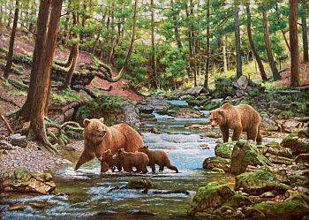 В лесной прохладе В лесной прохладе