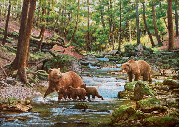 В лесной прохладе В лесной прохладе