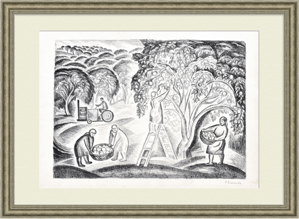 Сбор яблок в подмосковном совхозе. Авторская литография 