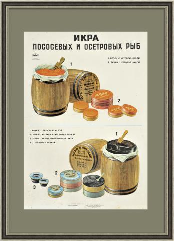 Икра лососевых и осетровых рыб, большой рекламный плакат СССР